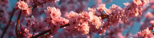 5 Spring Essentials You Didn’t Know You Needed (Until Now)