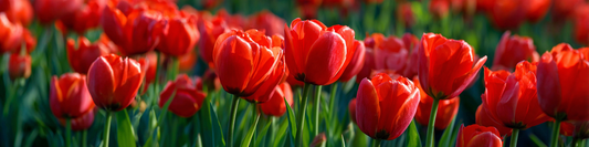 Spring Cleaning Your Beauty Routine? Start With Your Lip Balm